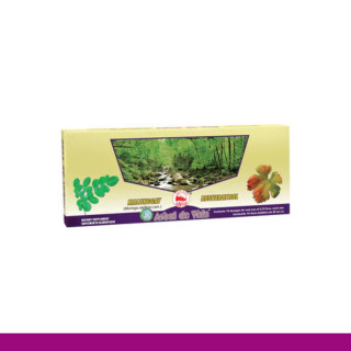 AMP.ING. ARBOL DE VIDA® MALUNGGAY Y RESVERATROL CJA.10x20ml Clave:1704