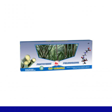 AMP.ING. COLESTERSAN® PANTETINA Y POLICOSANOL CJA.10x20ml Clave:1707