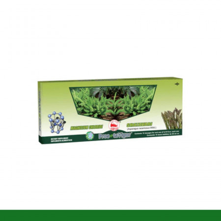AMP.ING. PROSTAVIGOR® CLORURO MAGNESIO Y SHATAVARI CJA.10x20ml Clave:1708