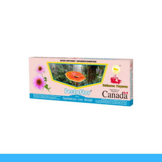 AMP.ING. PECTOFLOR® EQUINACEA Y REISHI CJA.10x20ml Clave:1717