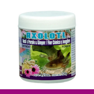 POMADA AXOLOTL® FLOR CONICA Y JENGIBRE POM.120g Clave:7565